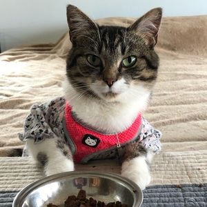 Meet your Posher, Nancy